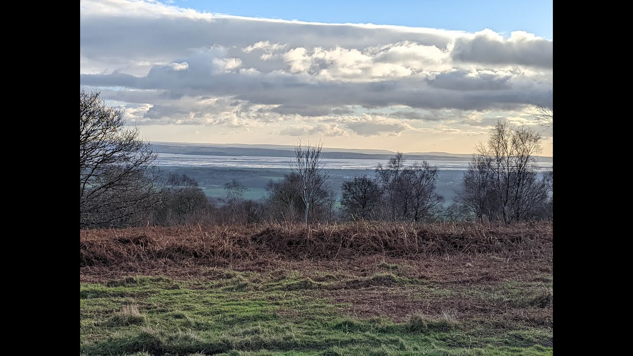 Exploring Gray Hill on the edge of Wentwood Forest for Return to My Trees