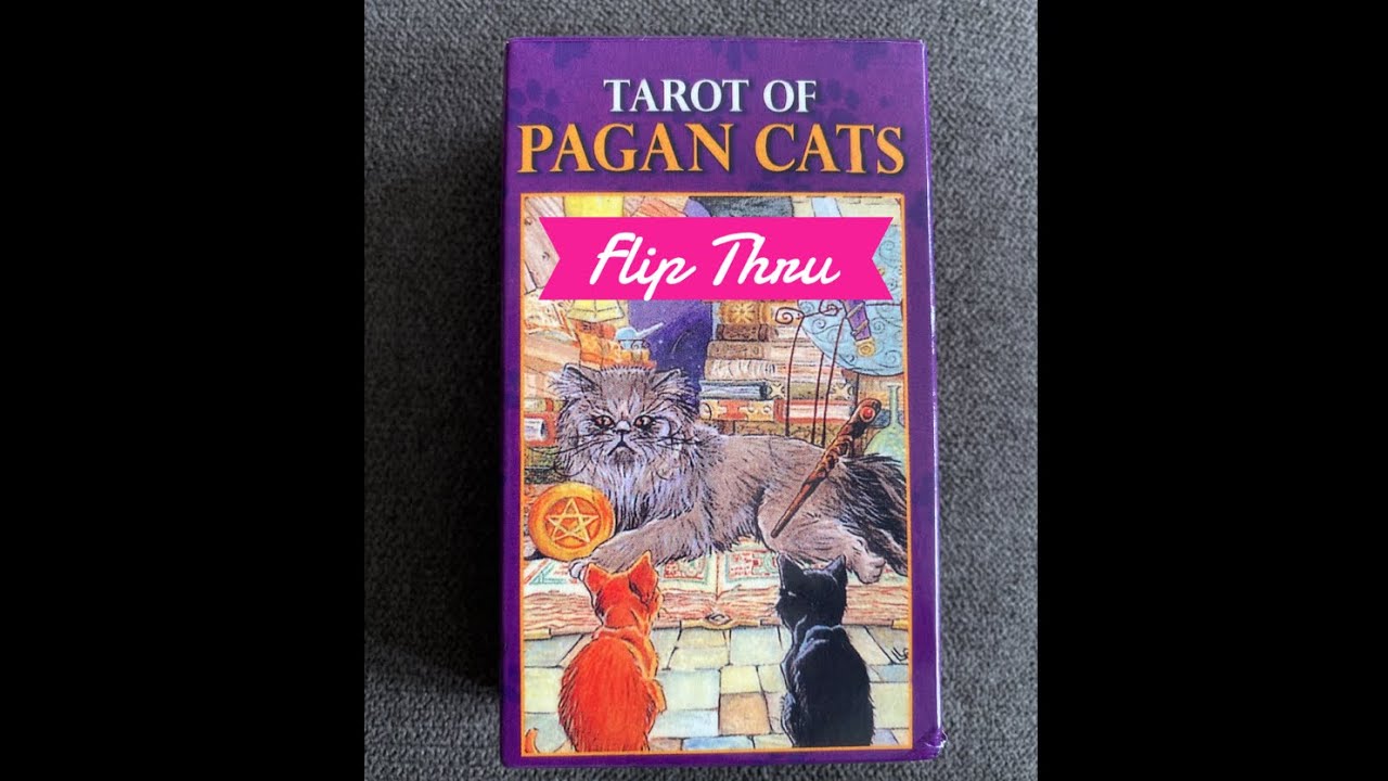 Tarot of Pagan Cats - a tarot deck flip thru