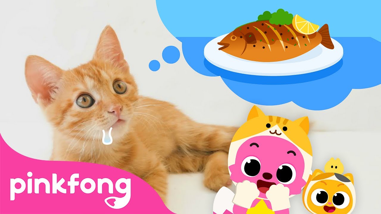 Oh, Baby Cat says meow | Baby Animals Songs | Kitten Song | Pinkfong for Kids