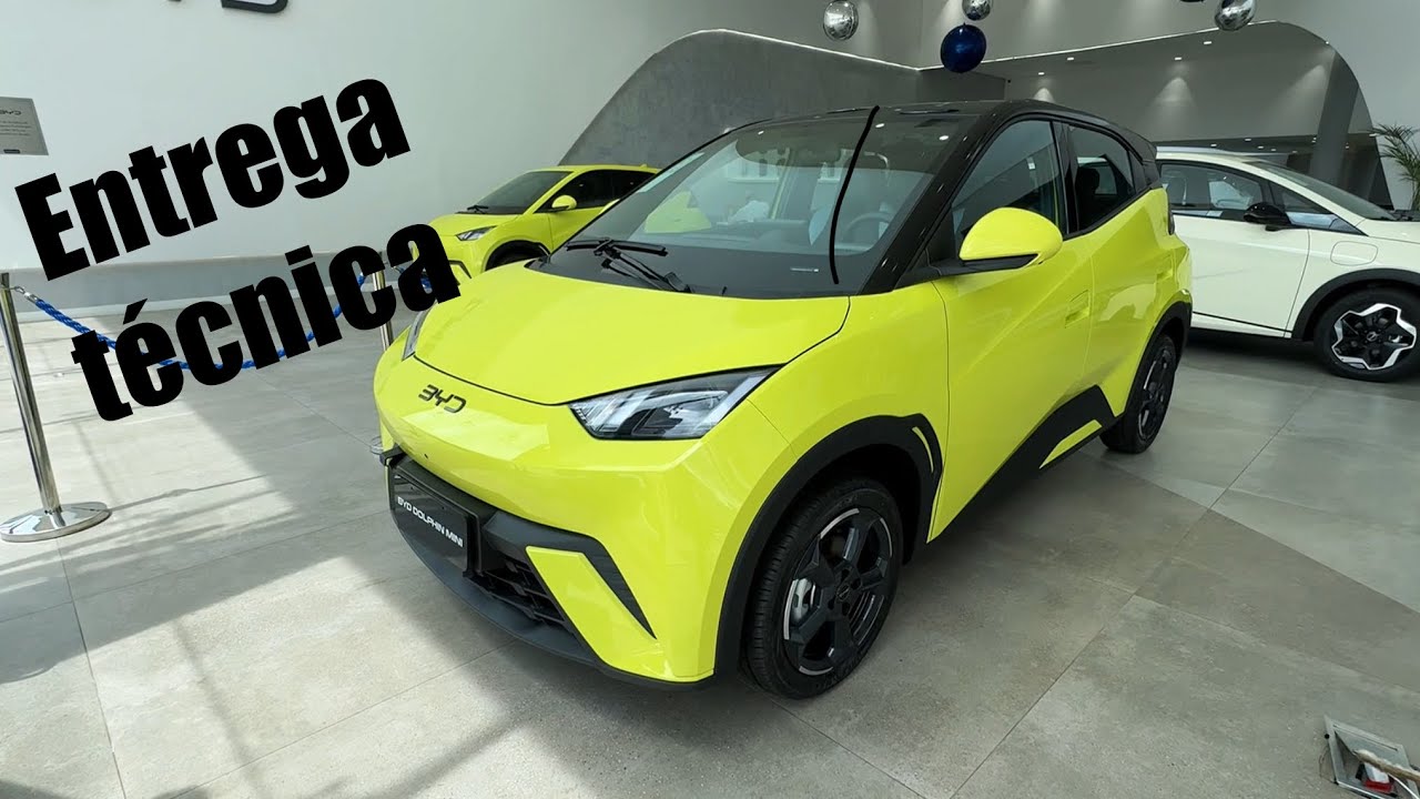Entrega técnica BYD Dolphin Mini