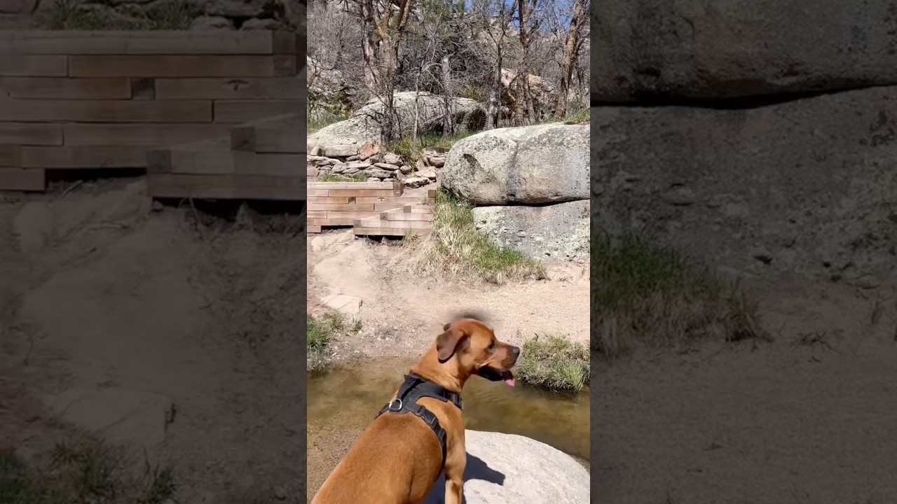 #trailday