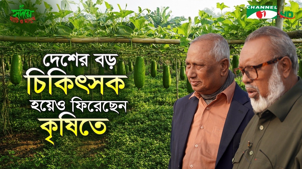 মাটির টানে ফিরে আসা এক চিকিৎসকের ৫৫ বিঘার কৃষি সাম্রাজ্য | Shykh Seraj | Channel i |