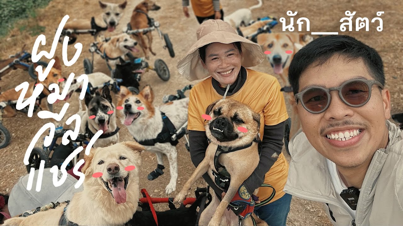 ฝูงหมาวีลแชร์ - นัก__สัตว์ EP9