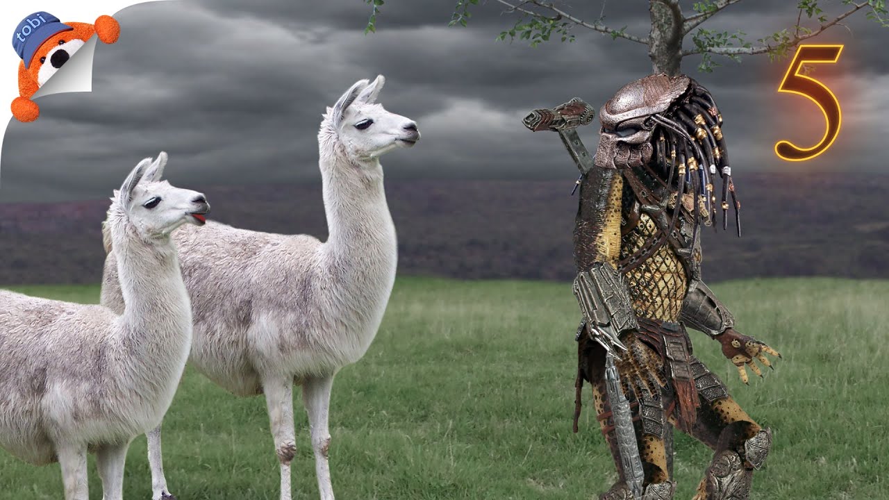 El Depredador, qué cosa! | Llamas del Tiempo 5 | TobiAnimados