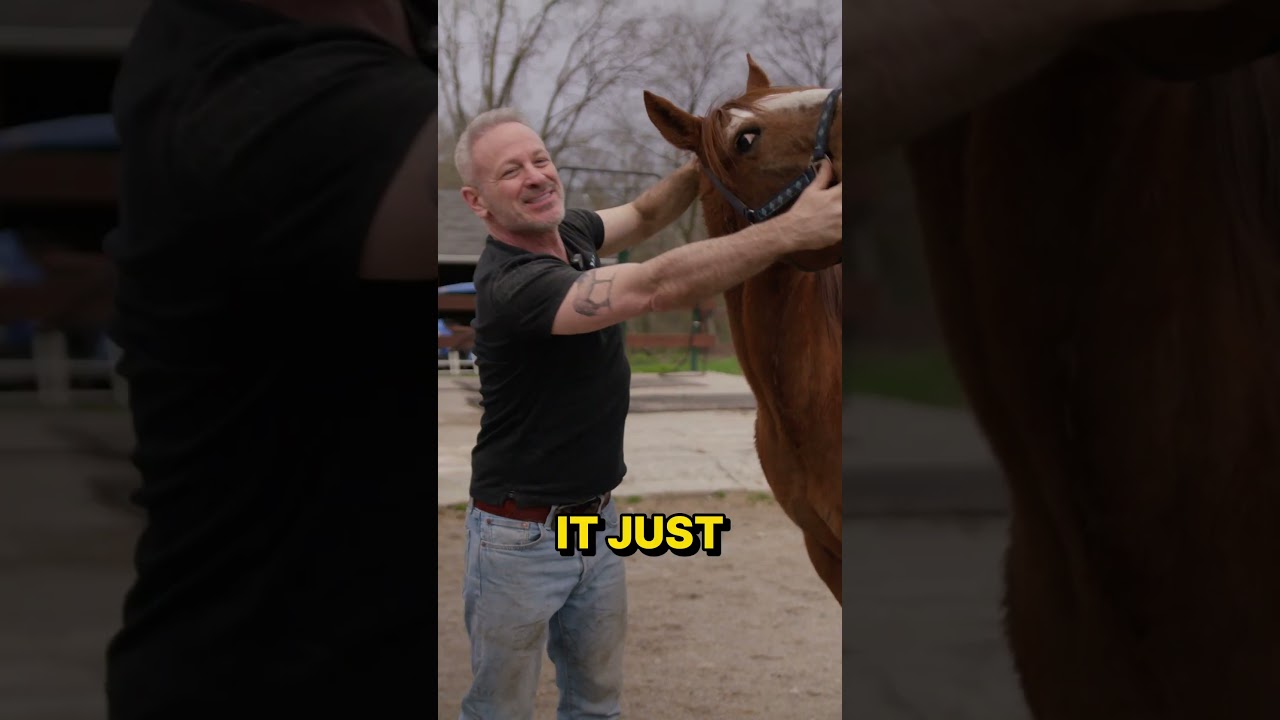 Rescue Horse Prince has an Achy Neck ~ Gets BIG Chiropractic Adjustment & Some Good Stretches!