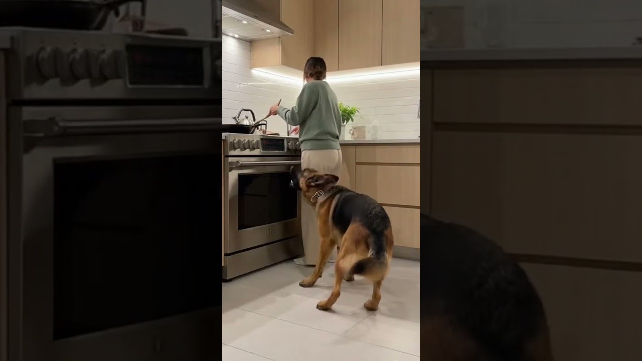 Dog SAVES Owner from KITCHEN FIRE! (Smoke Detector Activated)