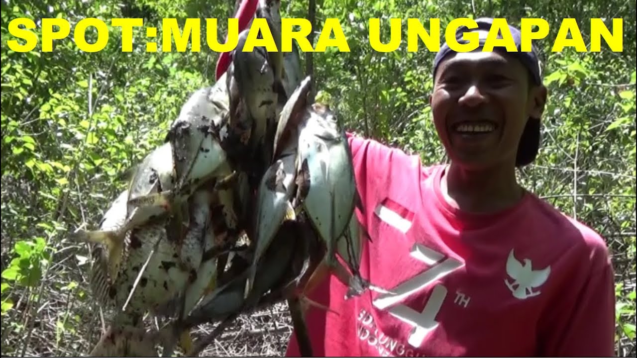 PANTAI UNGAPAN MUARANYA MASIH BANYAK IKAN NYA.MICRO FISHING