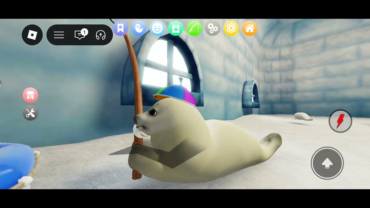 Playing be a silly seal 🦭 