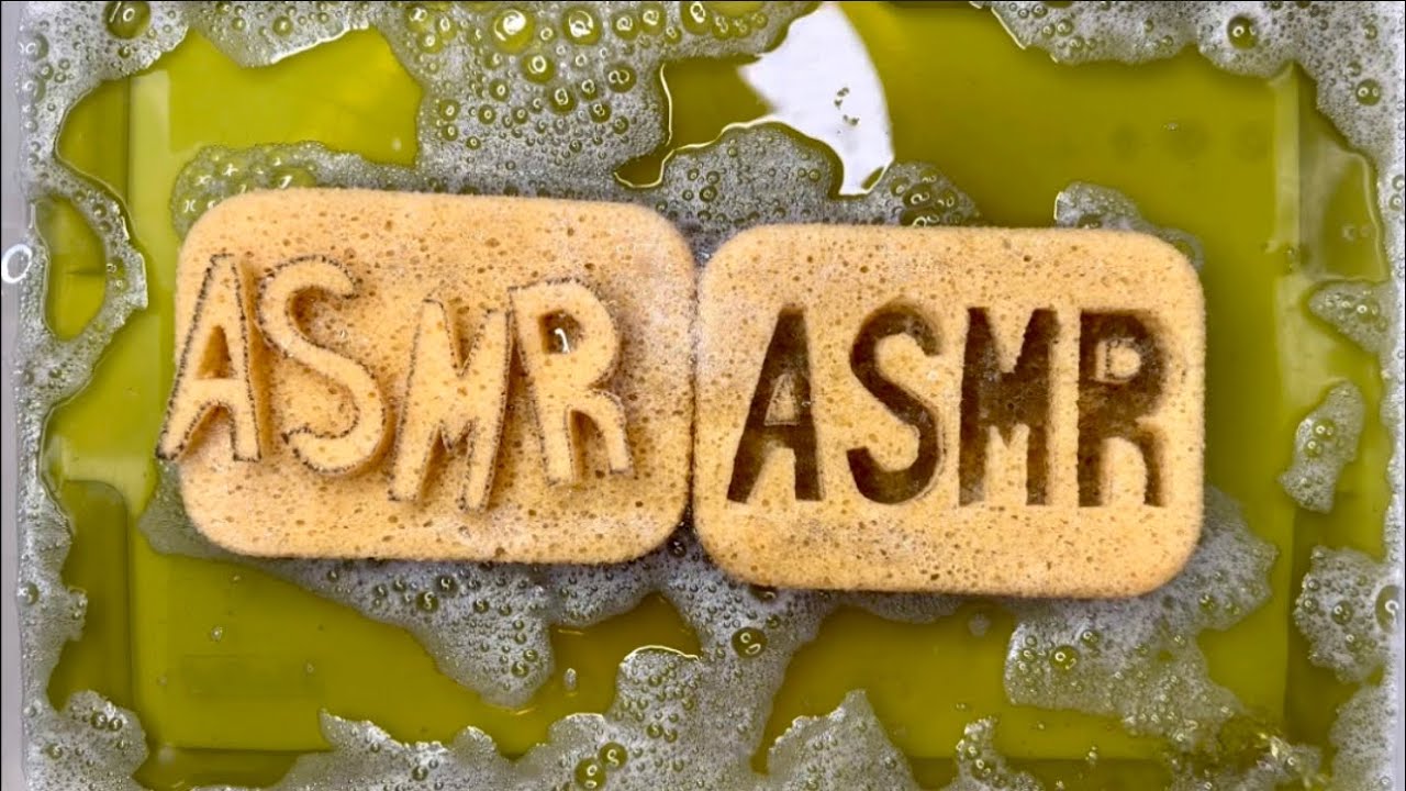 ASMR | Green Pine Mix on New Cut Out Sponges | Sponge Squeezing