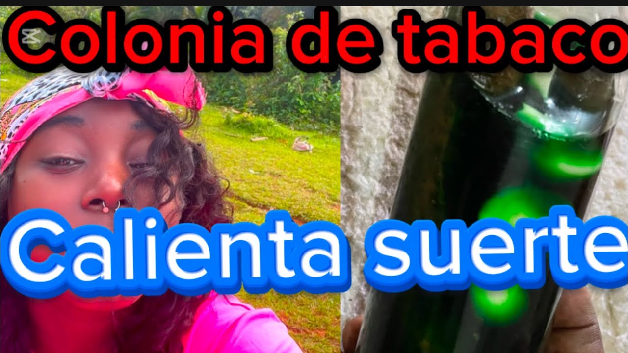 #colonia de tabaco y ajo 🧄 para tener suerte y ganarte la lotería 💰🙏