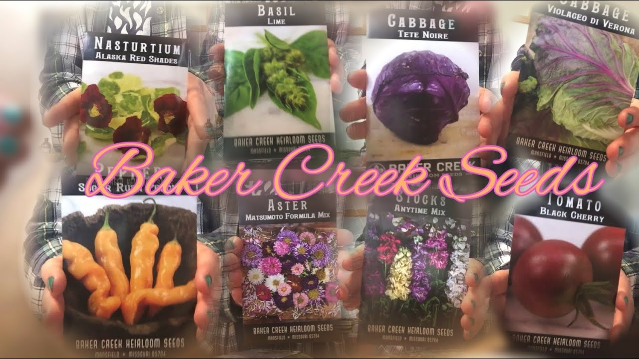 2025 Seed Order| Baker Creek Seeds 🌱