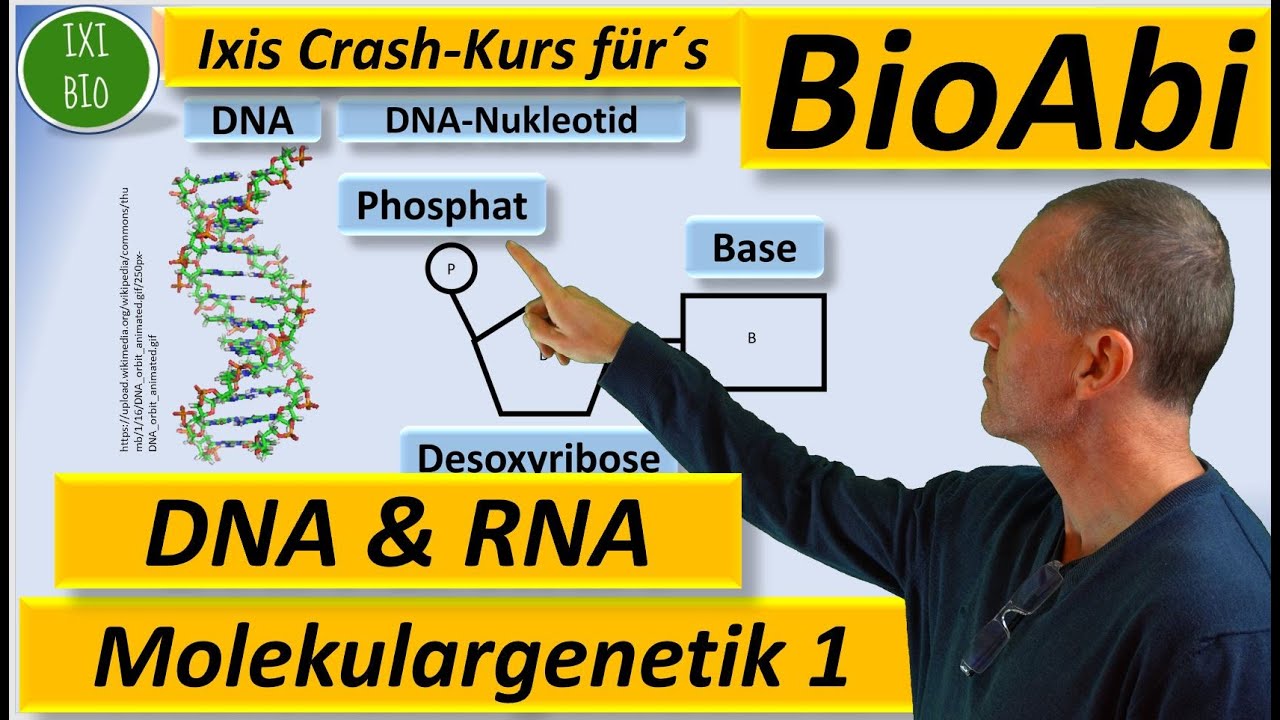 Molekulargenetik 1 DNA / RNA - Struktur und Funktion Anwendungsaufgaben  Fit für´s BioAbi 15 Punkte?