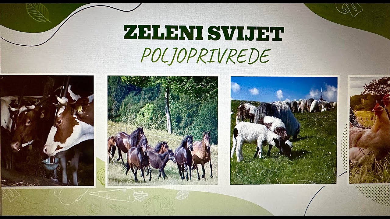 Zeleni svijet poljoprivrede - Proizvodnja kupusa