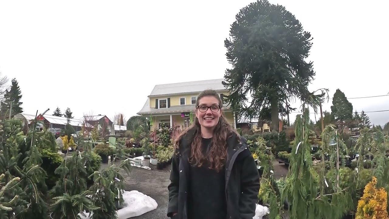 A visit to Cornell Farms