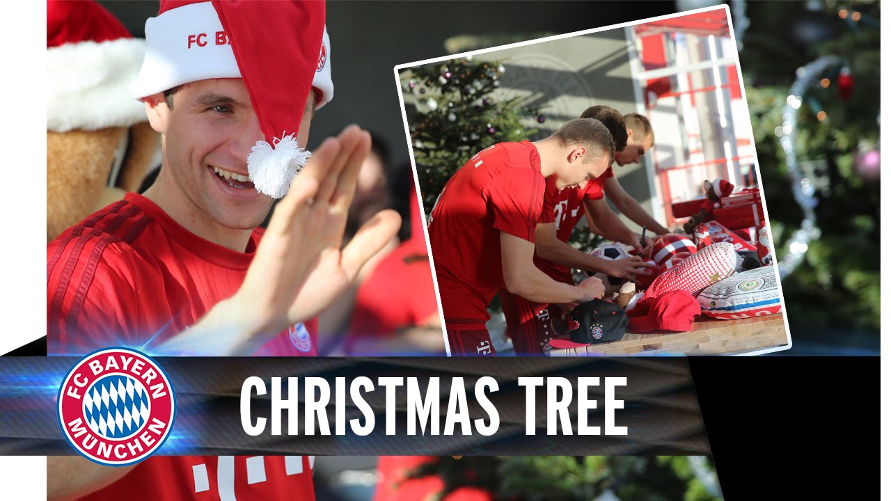 Müller & Co. schmücken den Weihnachtsbaum