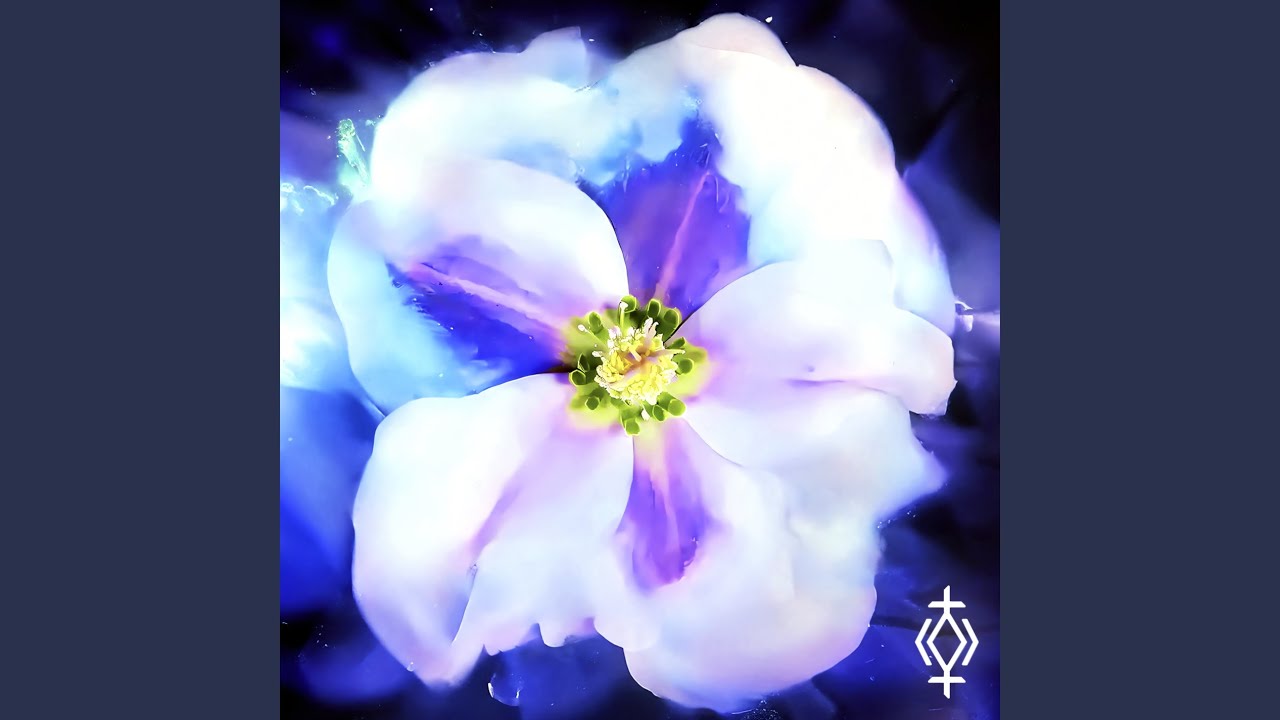 ANGEL GLOW (BREAKCORE MIX)
