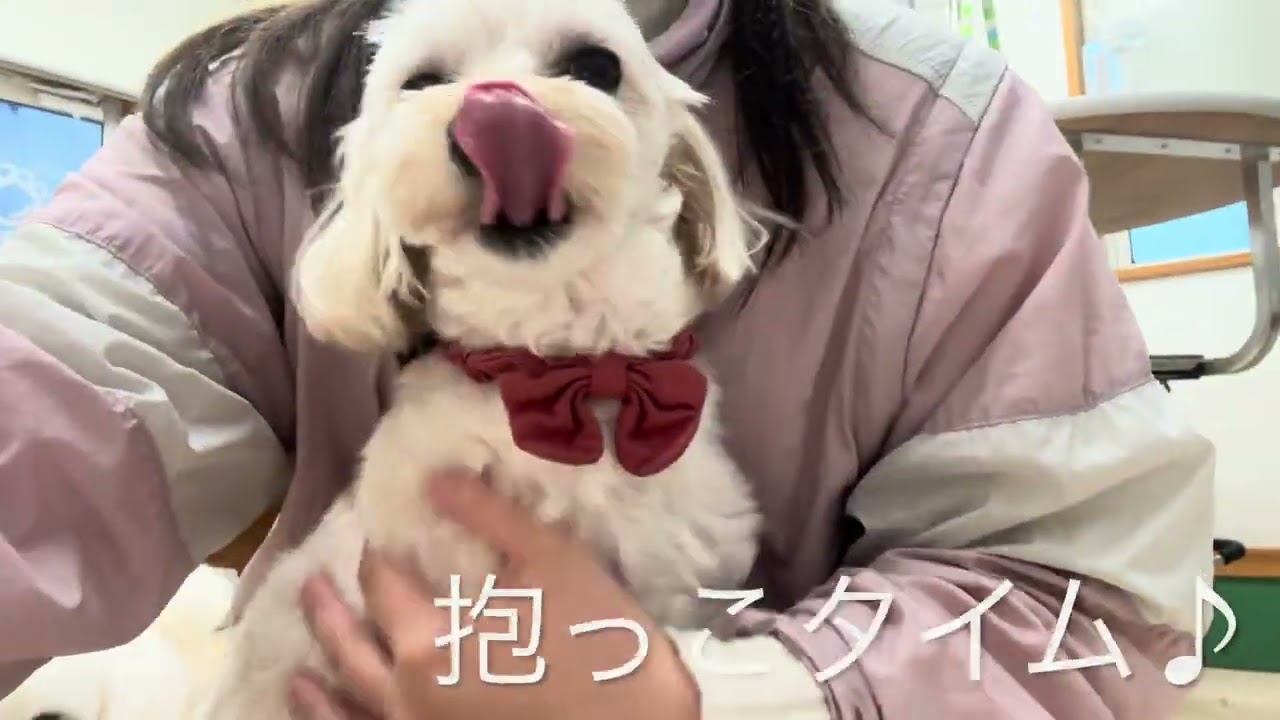 ねむちゃん☆