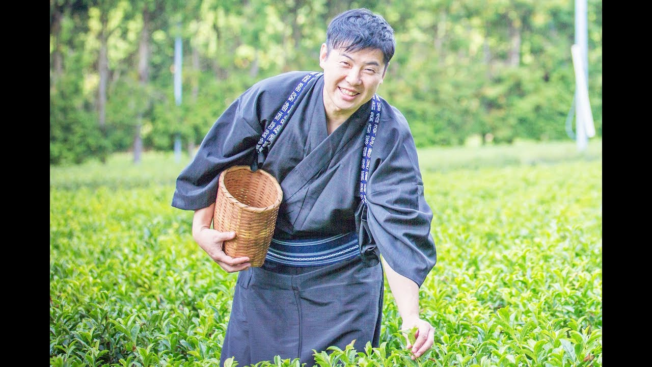 GTN (22) Organic Tea in Japan: Ishikawa Tea Farm いしかわ製茶