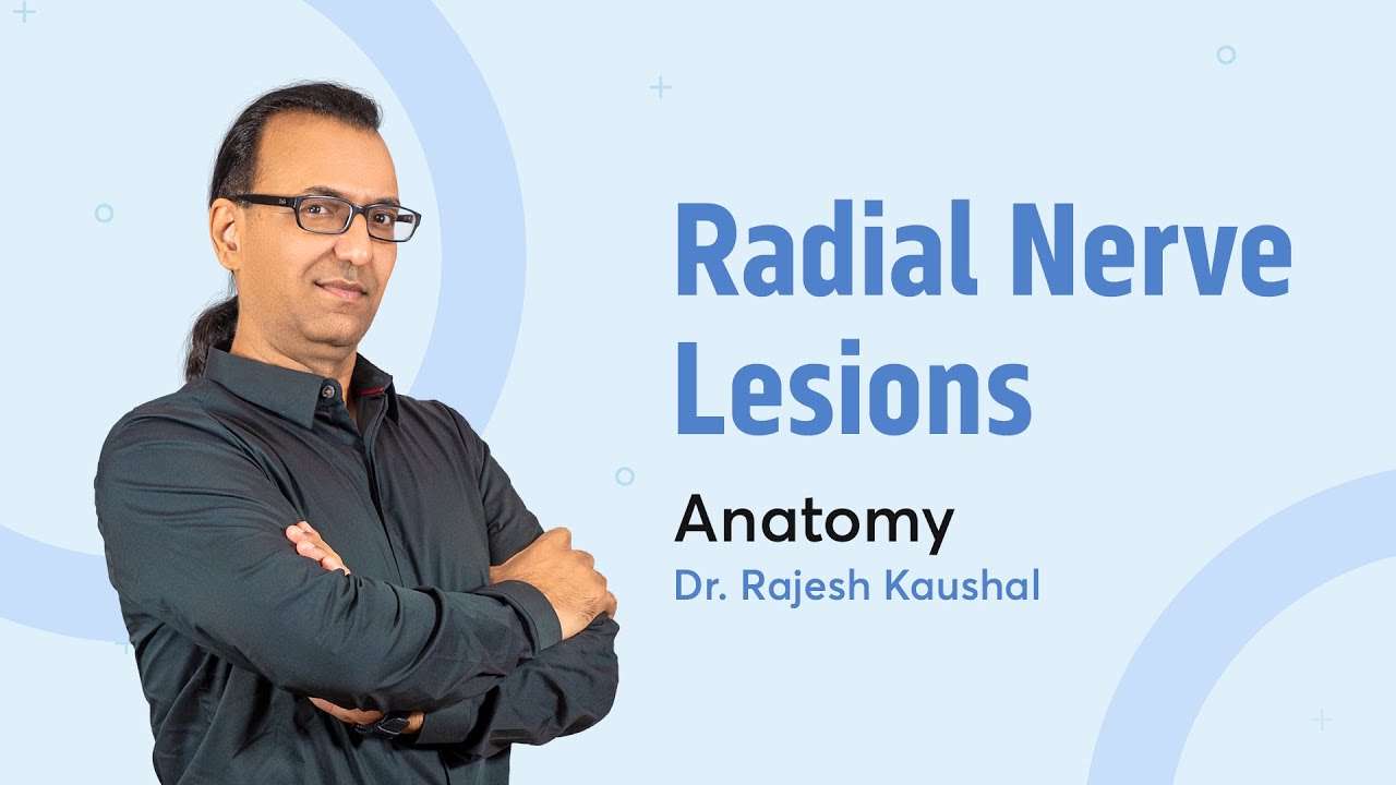 Radial Nerve Lesions | Dr. Rajesh Kaushal | Anatomy | PrepLadder