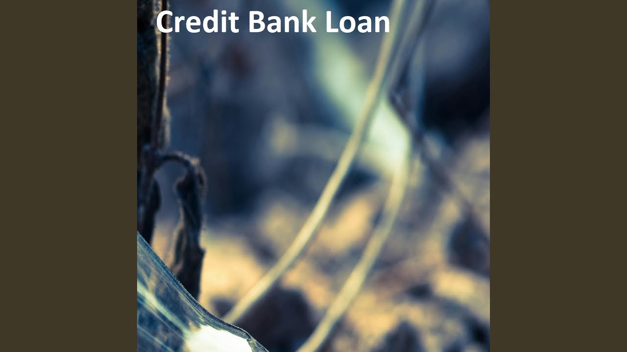 Credit Bank Loan