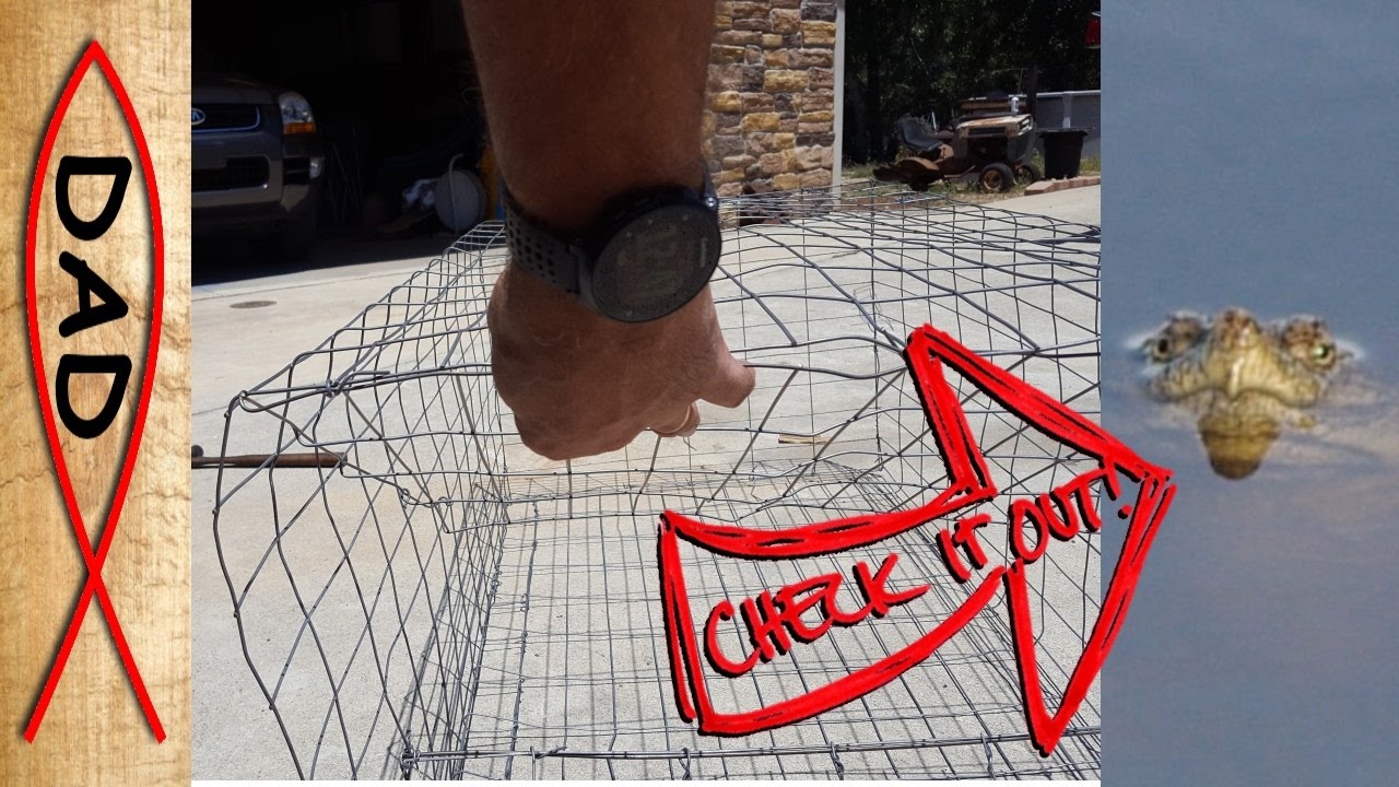 Snapping turtle trap - catch the big one!