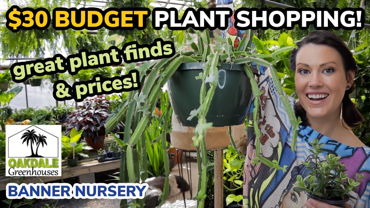 $30 BUDGET Plant Shopping & Plant Haul! - Oakdale Greenhouse & Banner Nursery - Charlotte, NC