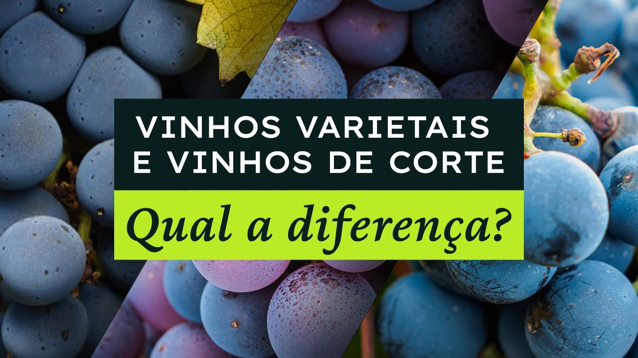 Vinhos Varietais e Vinhos de corte ou blends, entenda a diferen&ccedil;a | Aprendendo com a Mistral EP9