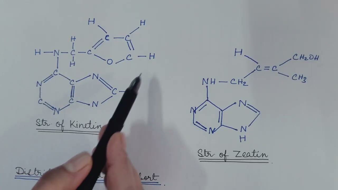 Kinetin and Cytokinin. Plant Physiology.