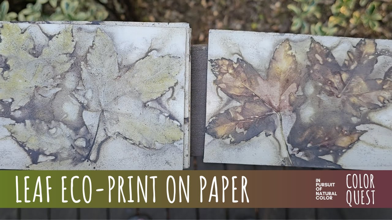 HOW TO ECO-PRINT WITH LEAVES ON PAPER | ORGANIC COLOR | MAPLE ALDER | BUNDLE DYE | VANCOUVER ISLAND