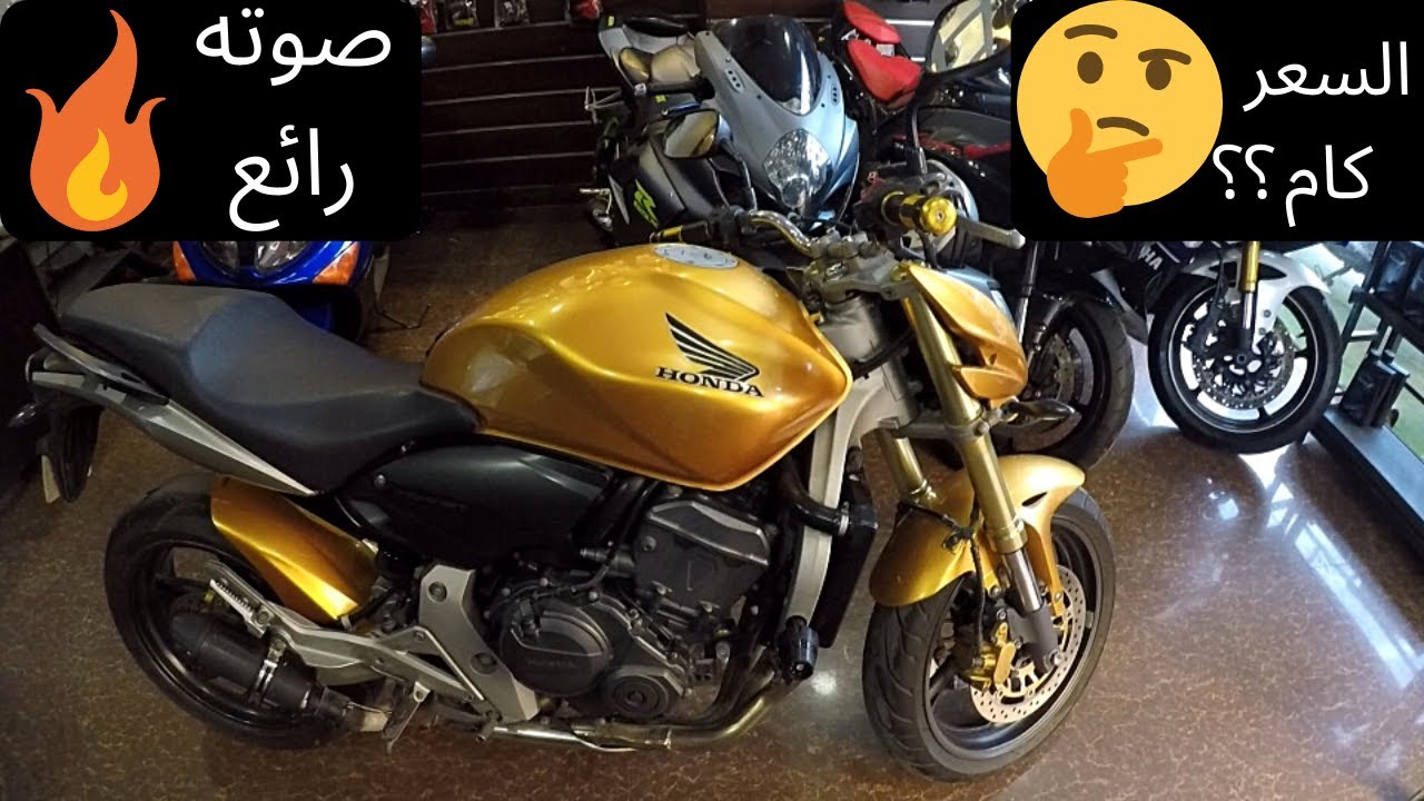 Honda Hornet/هوندا هورنت اشهر ستريت بايك فى مصر