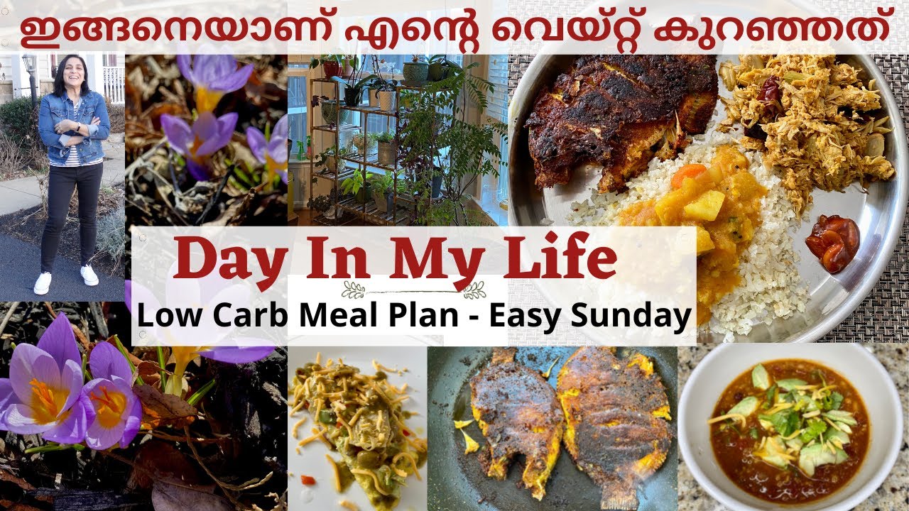 Day in My Life|ഇങ്ങനെയാണ്‌ എന്റെ വെയ്റ്റ്‌ കുറഞ്ഞത്‌|Low Carb Recipes Malayalam|Karimeen Fry