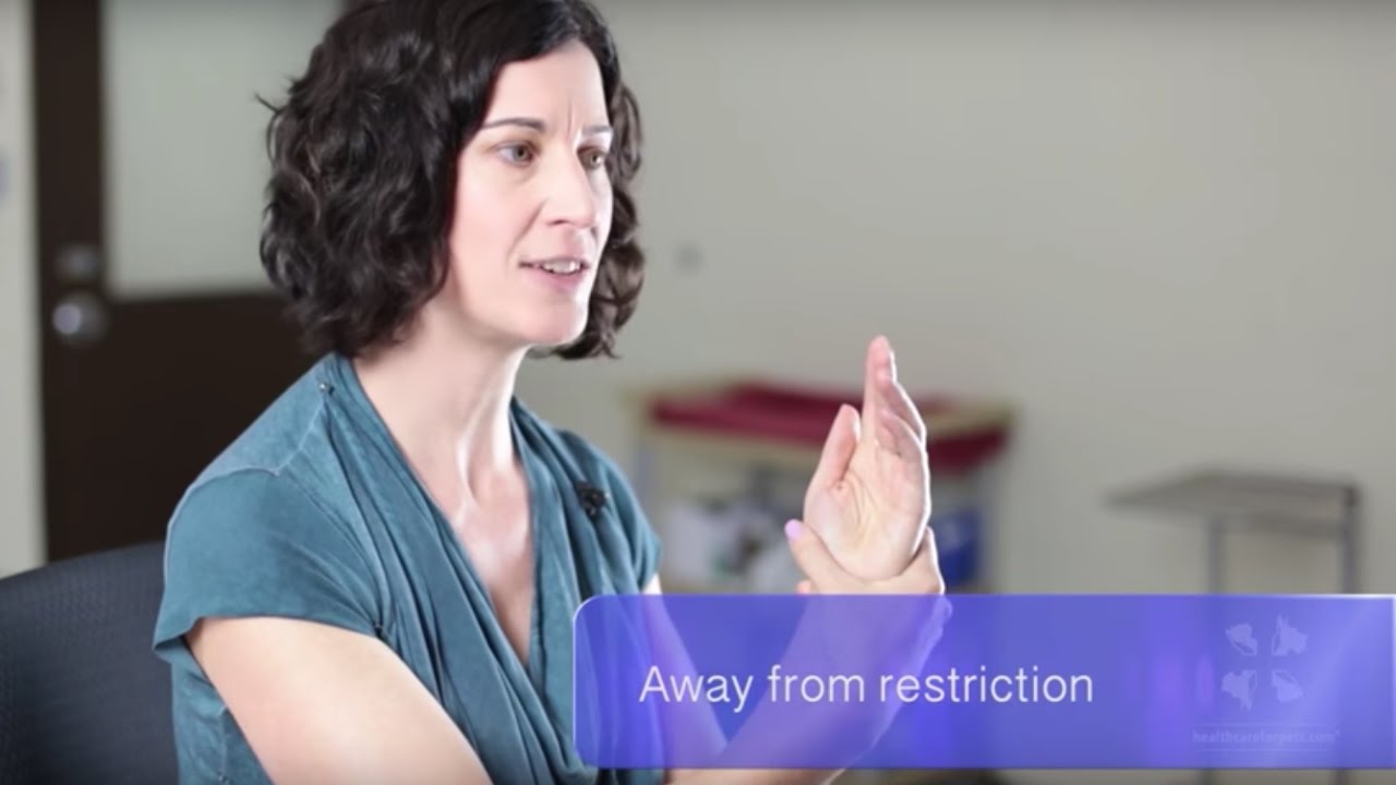 Osteopathy for Dogs and Cats | Holistic Vet