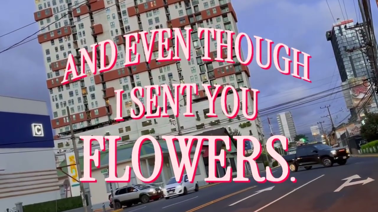 Bibio - all the flowers (lyric video)