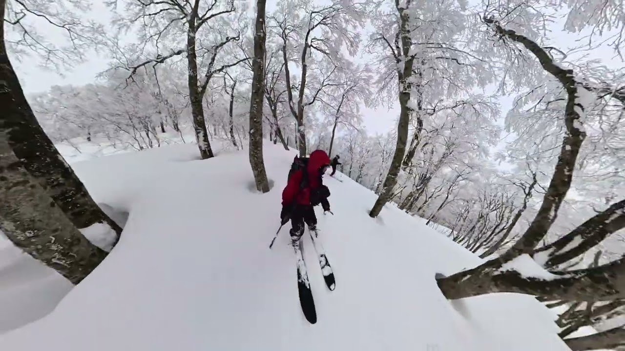 【登山】鍋倉山でのバックカントリースキー２【insta360 x4 air】