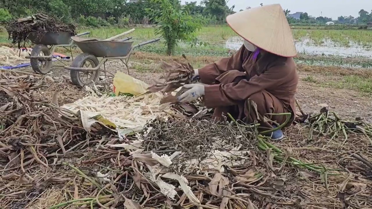TRỒNG CÂY TỪ RÁC.