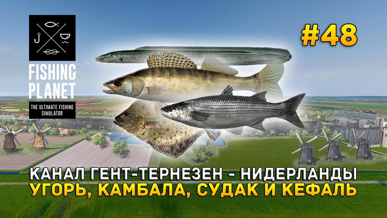 Канал Гент-Тернёзен - Нидерланды. Угорь, Камбала, Судак и Кефаль - Fishing Planet #48