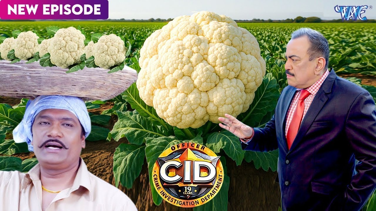 इस केस ने हिला दी पूरी CID टीम ~ रहस्य जिसने सबको चौंका दिया 😱 | CID LATEST EP | #cid | #newepisode