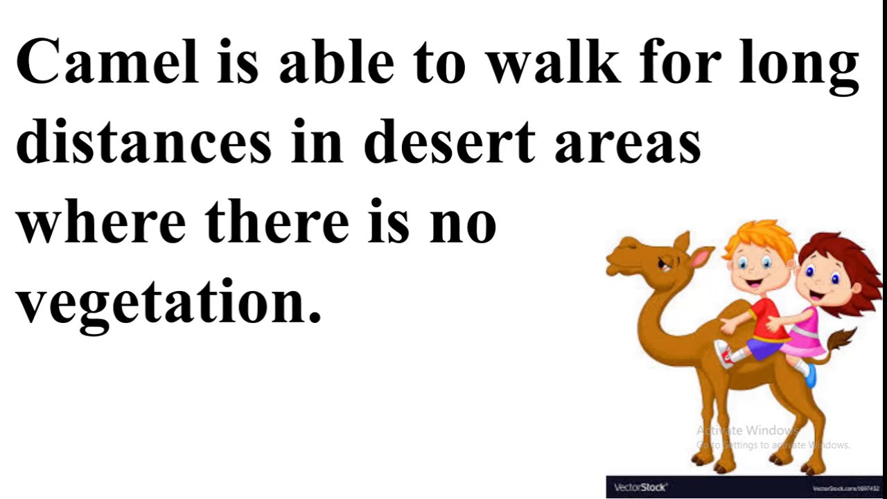 Essay on Camel in English for class 1, 2 and 3