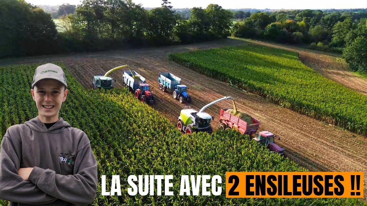 Ensilage de maïs 2025 (partie 2)