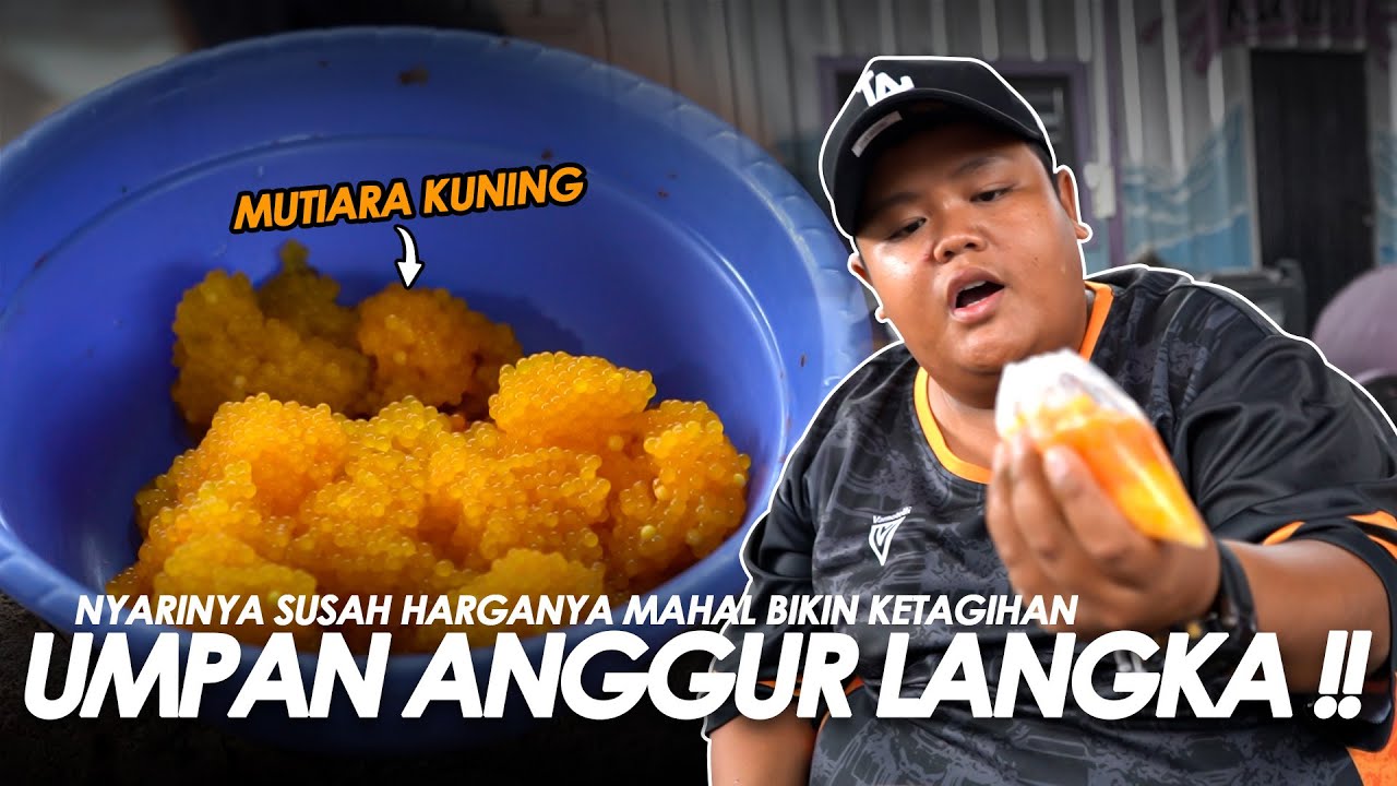 MANCING LELE PAKE UMPAN ANGGUR PALING LANGKA !! TANGAN LANGSUNG PADA PEGEL || BAM#5