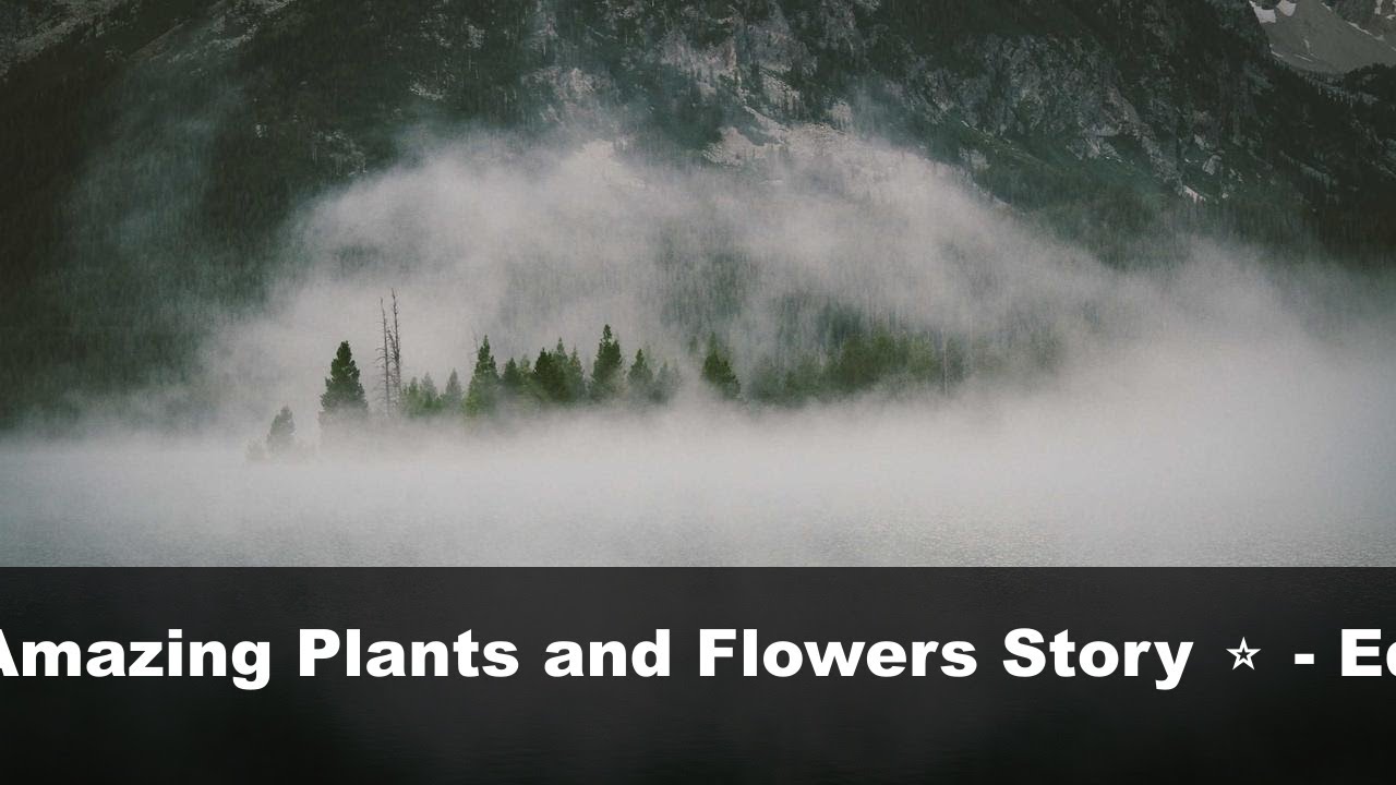 Learn About Amazing Plants and Flowers Story  ⭐ - Kids Education 🌟 [ELITE QUALITY]