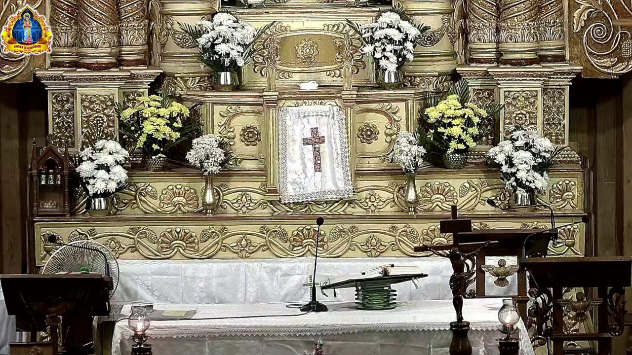 4th Week of Ordinary Time,  Monday 2nd  Feb 2026.