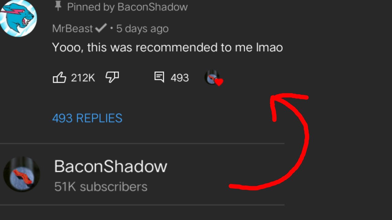 BACON SHADOW CHALLENGED ME  THAT 'mrBeast ' WILL NEVER COMMENT ON MY VIDEO!!
