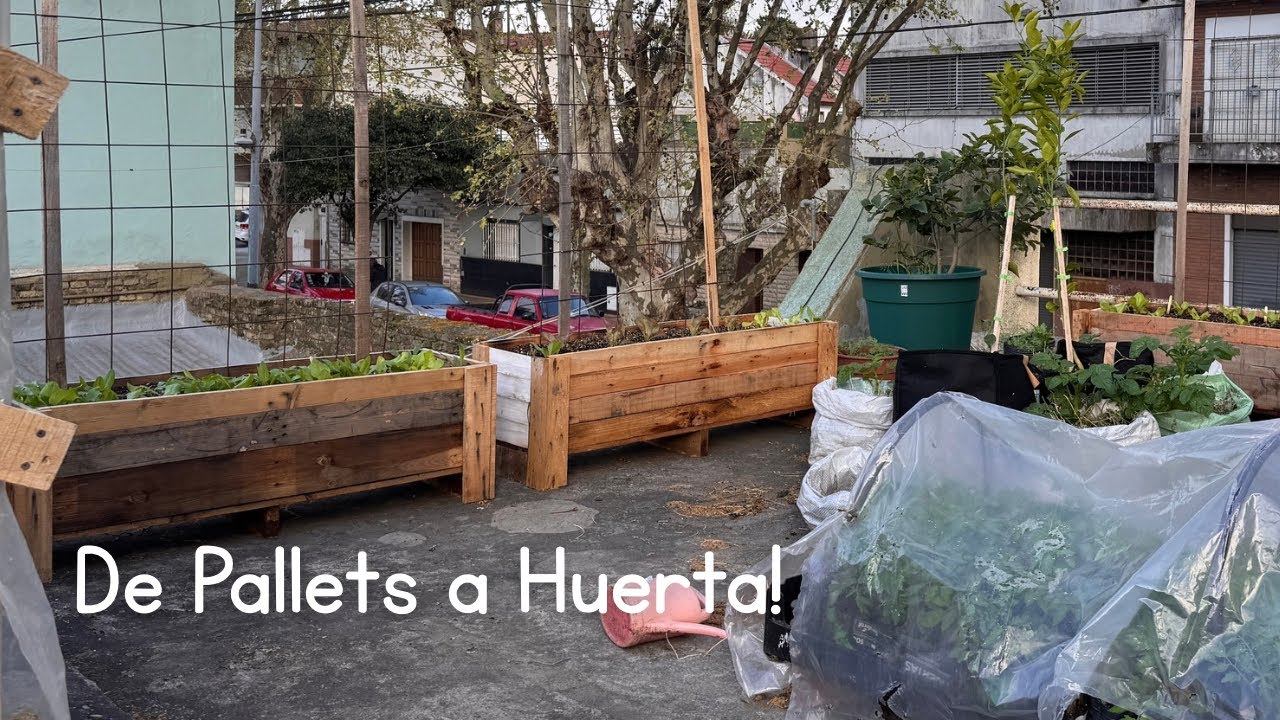 Huerta en la terraza: barata, reciclada y súper productiva 🌿