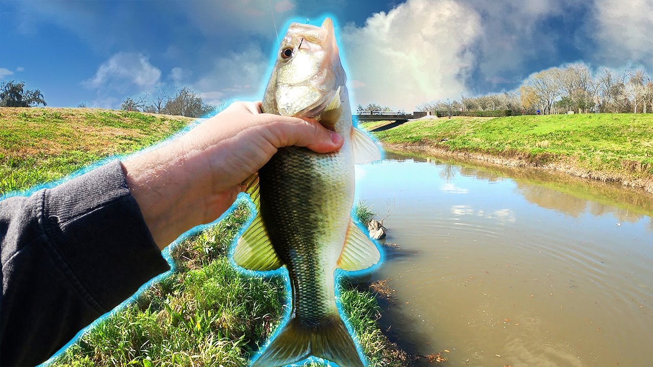Urban BASS Fishing Houston Bayous