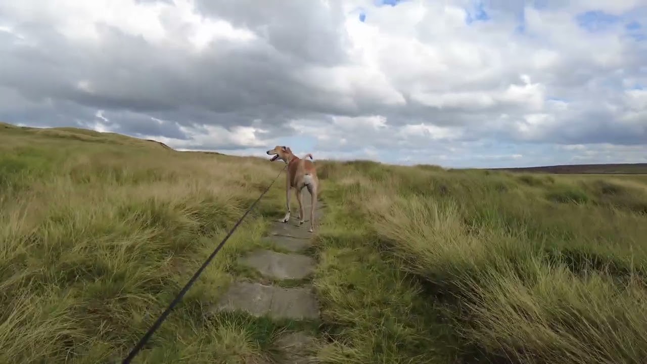 Walk 7 - Withens Clough