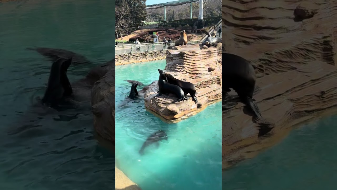higashiyama zoo