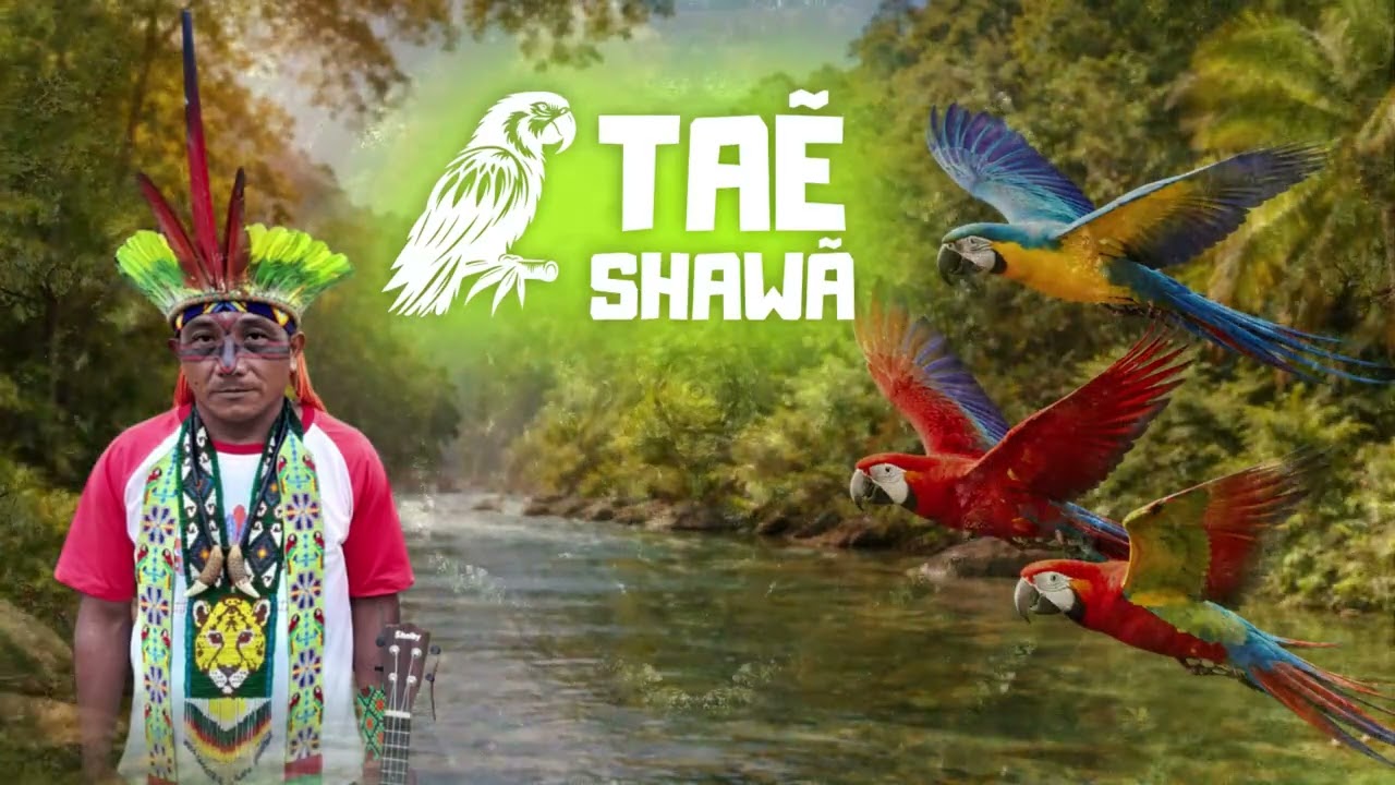 Chegou, chegou o povo Shawãdawa - TAE SHAWÃ