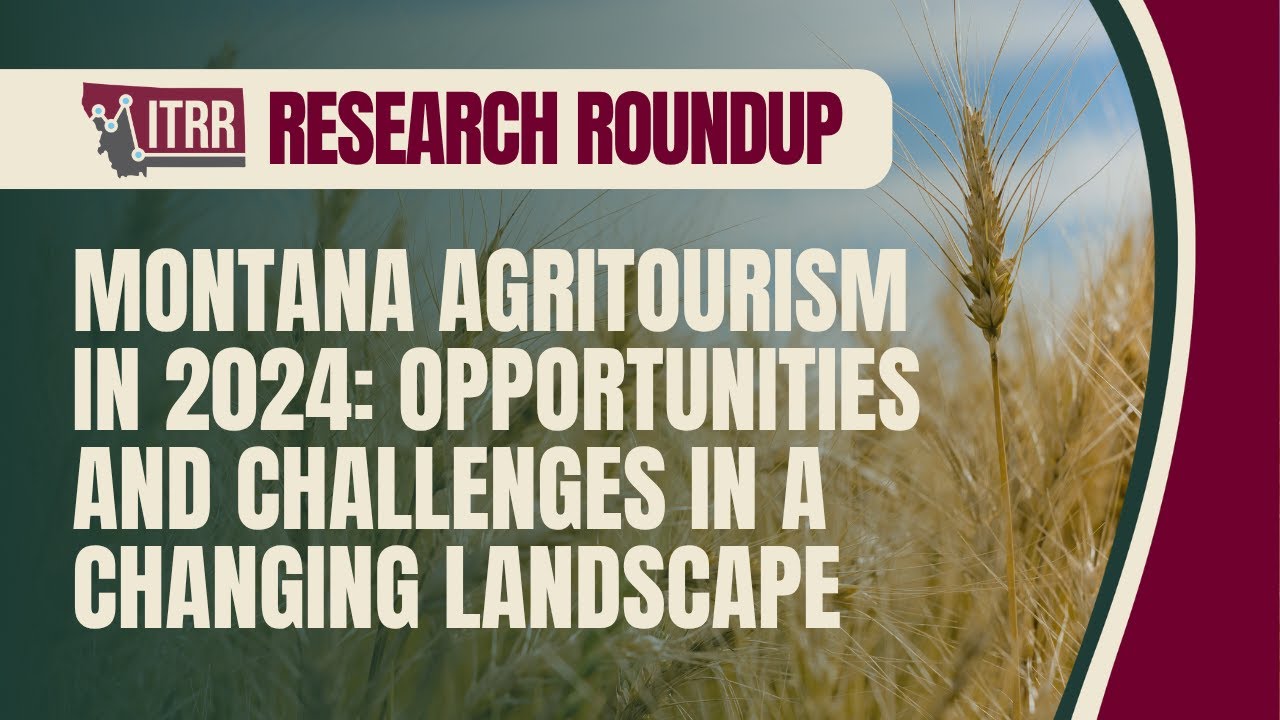 Research Roundup – Montana Agritourism in 2024: Opportunities and Challenges in a Changing Landscape