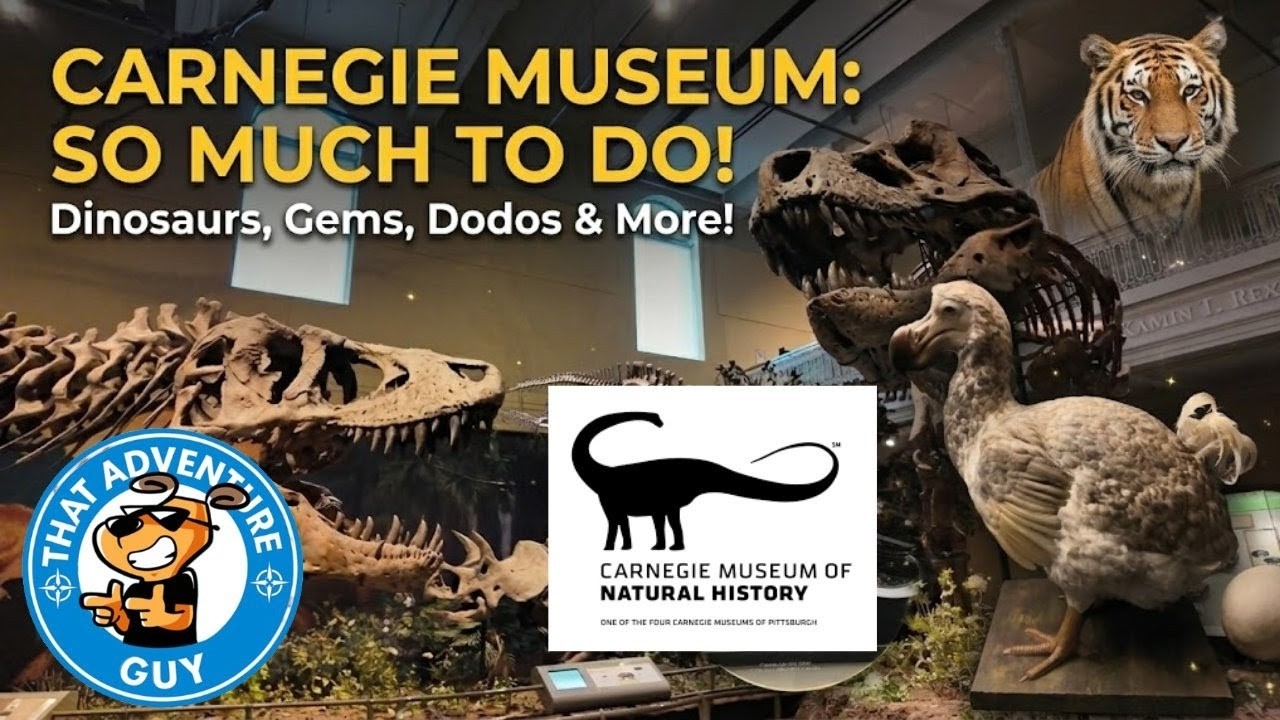 Музей естественной истории Карнеги: столько всего интересного! (Динозавры, дронты и многое другое...